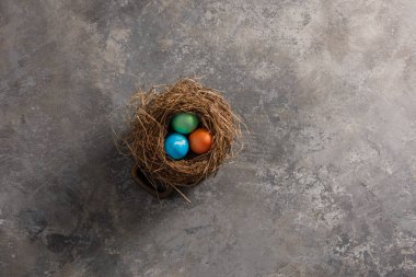 Kuşun yuvasında paskalya yumurtaları. Paskalya kutlaması. Uzayı kopyala Düz yatıyordu