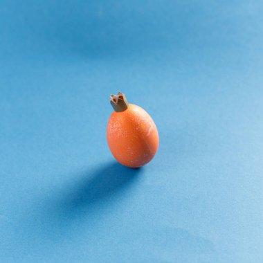 Mavi arka planda yumurta. Yakın plan plan. Taçlı bir kral suretinde bir yumurta. Uzayı kopyala Liderlik kavramı.