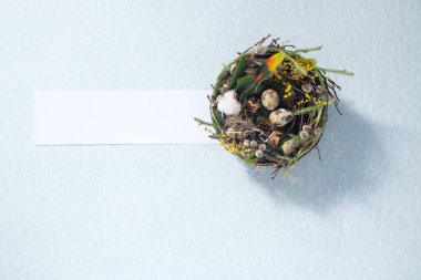 Soluk gri yüzeydeki bir yuvada bıldırcın yumurtaları. Paskalya tatili konsepti. Uzayı kopyala Kartpostal tasarımı. Metnin altına yerleştir.