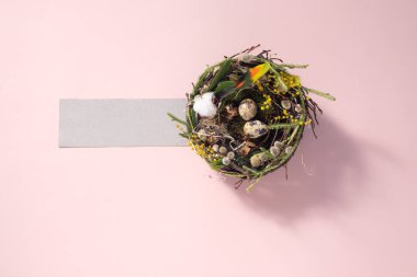 Soluk pembe bir yüzey üzerindeki bir yuvada bıldırcın yumurtaları. Paskalya tatili konsepti. Uzayı kopyala Kartpostal tasarımı. Metnin altına yerleştir.