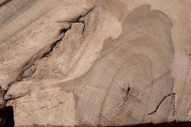 Eski doğal kalıplı ahşap doku arka plan yüzeyi. Ahşap arka plan dokusu yakın çekim. Üst görünüm.