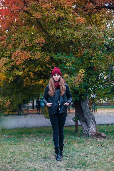Porträtt mode på en vacker blond ung kaukasisk kvinna kalla hösten getaways våren. hösten park, röd grön gul treor. I en vinröd mössa och halsduk. Generad, drömmande vacker flicka — Stockfoto