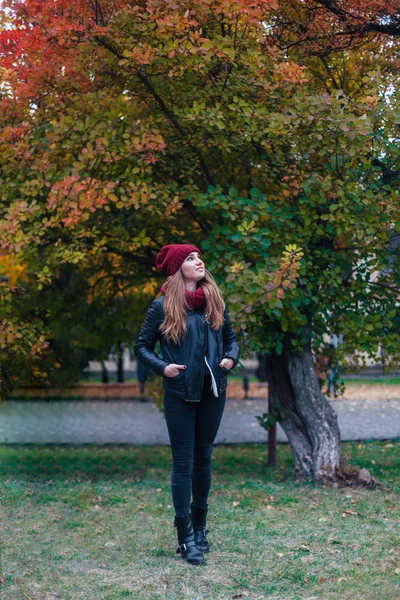 Retrato de moda de uma bela loira jovem caucasiana frio Outono escapadelas primavera. Outono parque, vermelho verde amarelo três. Num boné e cachecol de borgonha. Embaraçado, Sonhador menina bonita — Fotografia de Stock