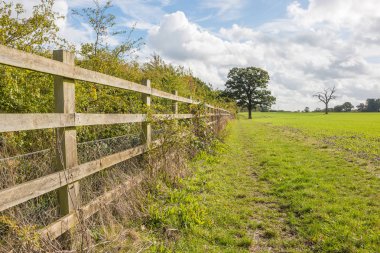 İngiliz bahar manzara