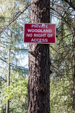 Uyarı işareti özel orman