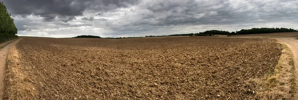 Plowed field under grey sky