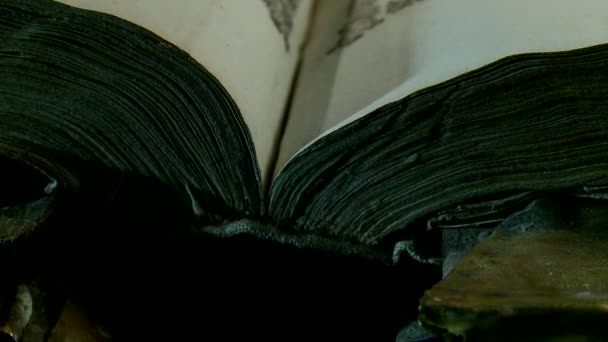 Livres anciens dans la bibliothèque — Video