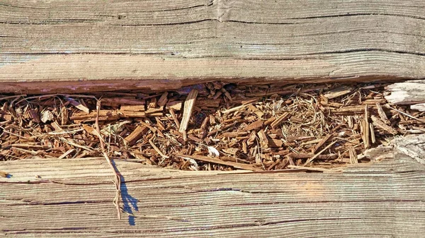 Закрыть вращающуюся древесину вдоль тротуара — стоковое фото