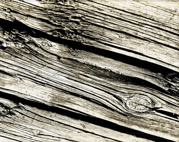 Absztrakt fa mutatja a textúra és a gabona — Stock Fotó