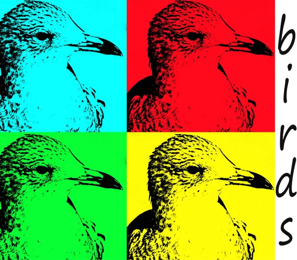 Pop Art - genç Martı Fotoğraf bitmiş kuşlar poster — Stok fotoğraf