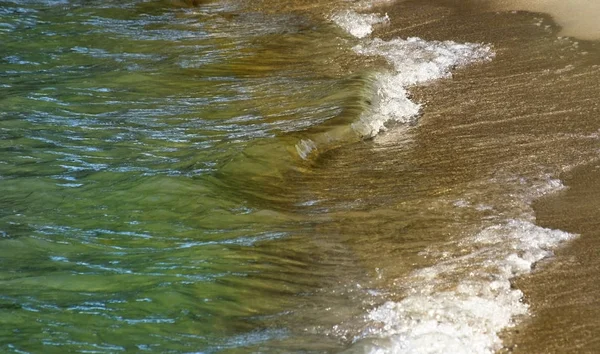 緑と茶色の海岸線にロールアップの色合いで柔らかな波 — ストック写真