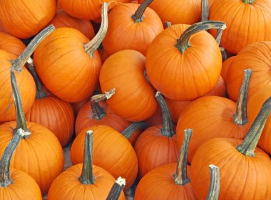 Parlak turuncu pasta kabak arka plan