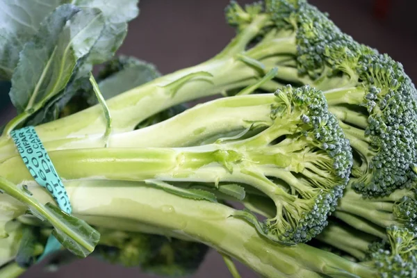 Organische broccoli vers uit de supermarkt — Stockfoto