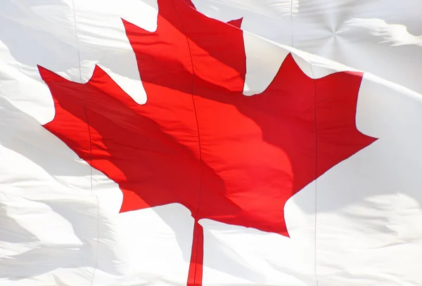 A bandeira vermelha e branca do Canadá com a folha de bordo simbólica — Fotografia de Stock