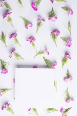 Beyaz bir arka plan üzerinde küçük çiçekler