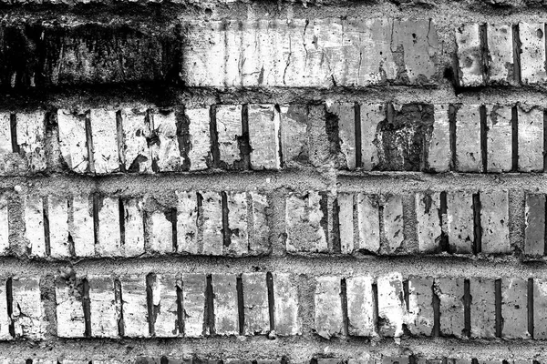 The texture of the metal doors — Stock Photo, Image