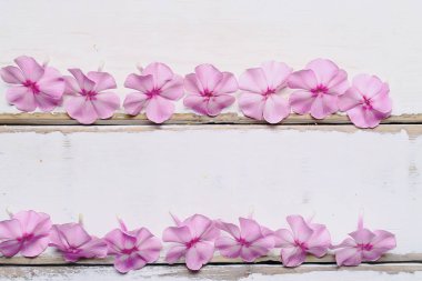 Çerçeve masanın üzerine çiçek