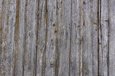 Eski ahşap duvarın dokusu