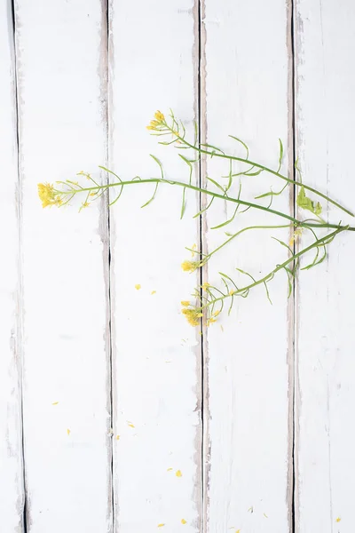 Gyönyörű virág egy fa asztalon — Stock Fotó