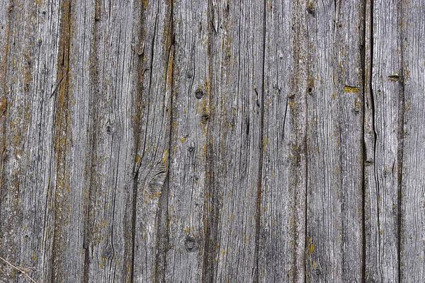 Eski ahşap duvarın dokusu