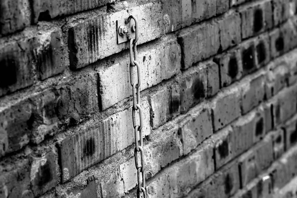 The texture of the metal doors — Stock Photo, Image