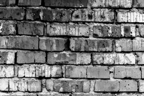 The texture of the metal doors — Stock Photo, Image