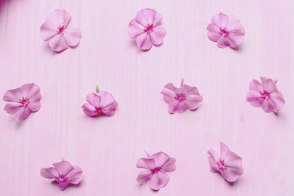 Ροζ λουλούδια πάνω σε ένα ξύλινο τραπέζι — Φωτογραφία Αρχείου