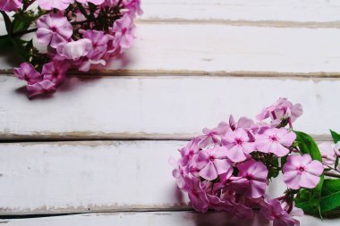 Ahşap bir masaya Pembe çiçek