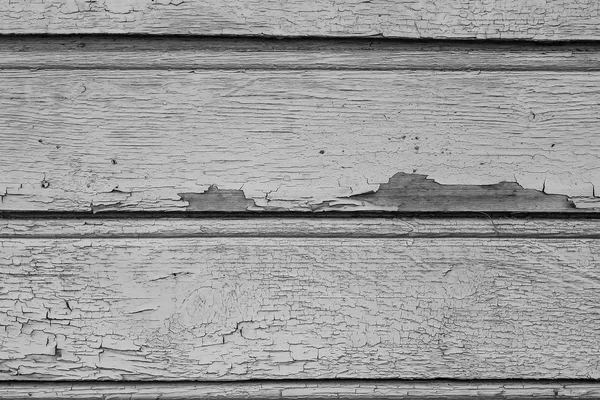 Kuru bir ahşap duvar eski boya