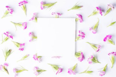 Beyaz bir arka plan üzerinde küçük çiçekler