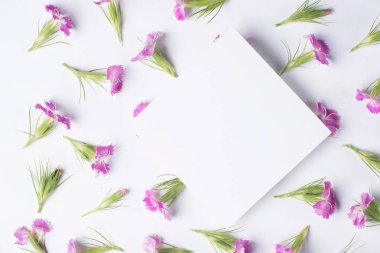 Beyaz bir arka plan üzerinde küçük çiçekler