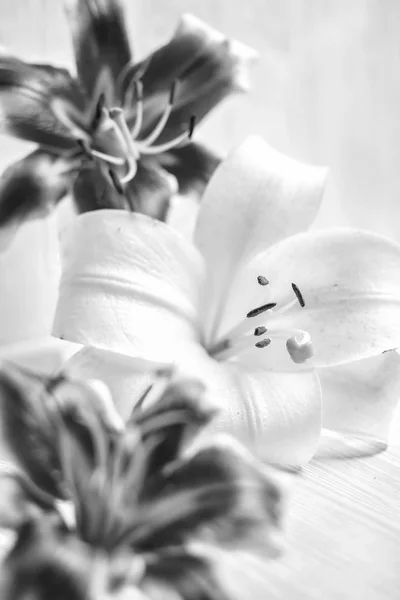 Velká lilie na dřevěný stůl — Stock fotografie