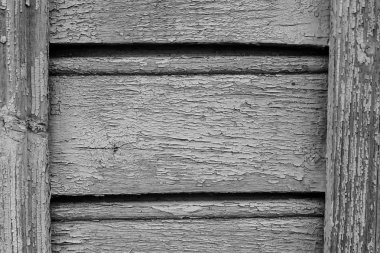 Kuru bir ahşap duvar eski boya