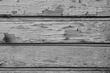 Kuru bir ahşap duvar eski boya
