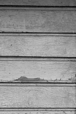 Kuru bir ahşap duvar eski boya