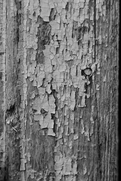 Régi festék száraz fából készült falra — Stock Fotó