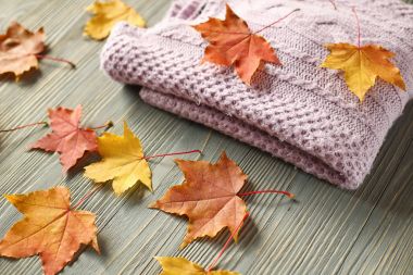 Sonbahar Aksesuar örgü kazak ve yaprakları