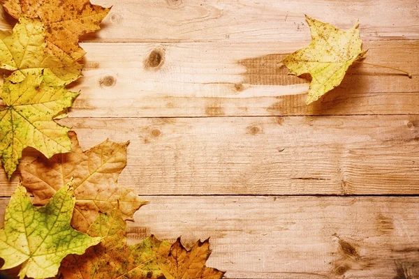 Hojas de arce en otoño sobre una madera — Foto de Stock