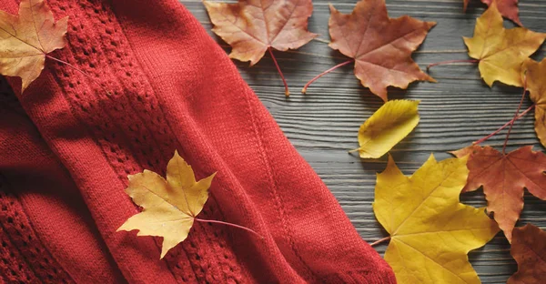 Suéteres y hojas de punto de otoño — Foto de Stock