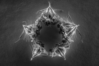 Kompozisyon neon ışık çiçek