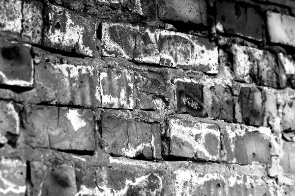 The texture of the metal doors — Stock Photo, Image