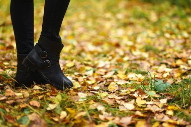 Parkta bir yürüyüş botları. Güzel sonbahar ormandır. Sarı