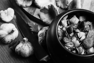 toprak kap mantarlı patates. Ormandan gelen mantar