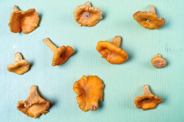 mantar masaya mı. Akşam yemeği için ormandan gelen mantar