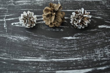 Çam kozalakları masada bileşimi. NAT doğal arka plan