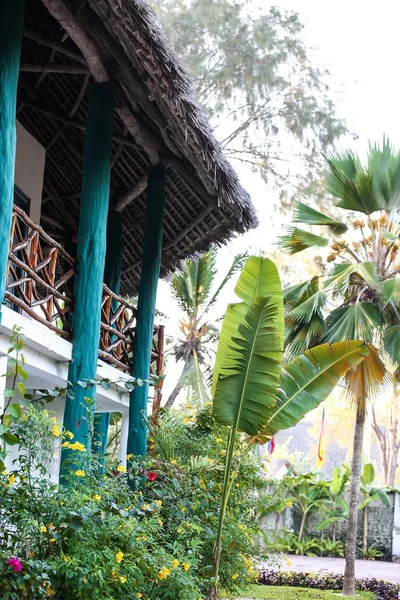 Holiday homes with palm trees in the tropics. Warm country for t Royalty Free Stock Photos