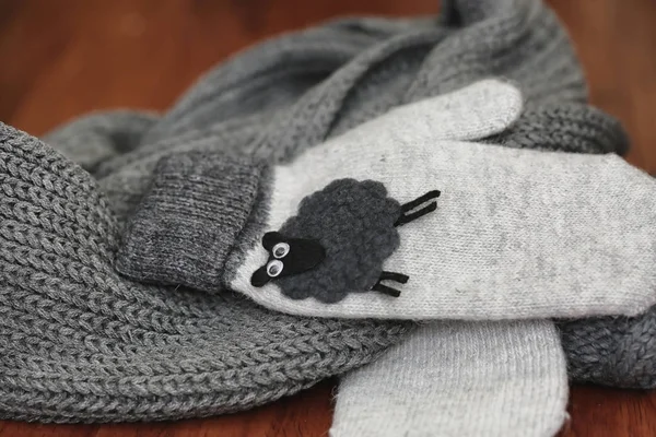 暖かい服セーター ニットの詳細 — ストック写真