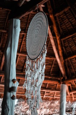 Tropikal palmiye ağaçları ile tatil evleri. Sıcak ülke için t