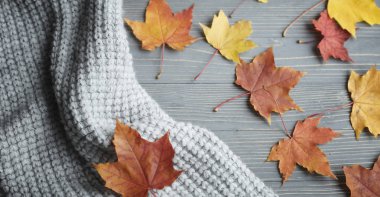 Sonbahar örme kazak ve yaprakları