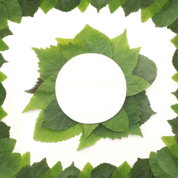 Background of green leaves with a paper — Stock Photo, Image